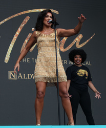 Tina Turner the Musical 