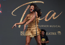 Tina Turner the Musical 