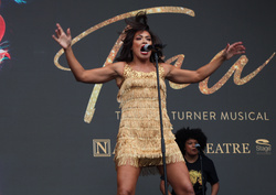 Tina Turner the Musical 