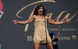 Tina Turner the Musical 