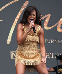 Tina Turner the Musical 