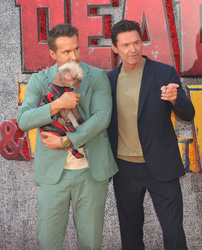 Ryan Reynolds and Hugh Jackman 