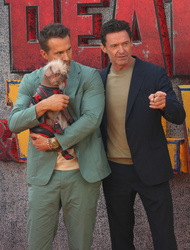 Ryan Reynolds and Hugh Jackman 