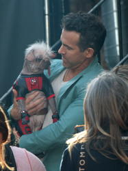  Peggy and Ryan Reynolds 