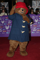 Paddington Bear 