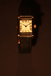 Cartier exhibition