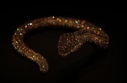 Cartier exhibition
