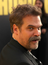 David Harbour 