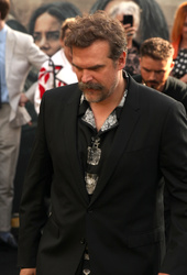 David Harbour 