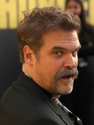 David Harbour 
