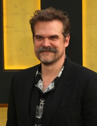 David Harbour 