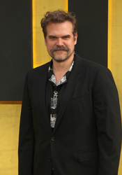 David Harbour 